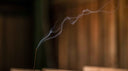 Is Burning Incense Bad for You? The Clean Incense You Should Choose Instead