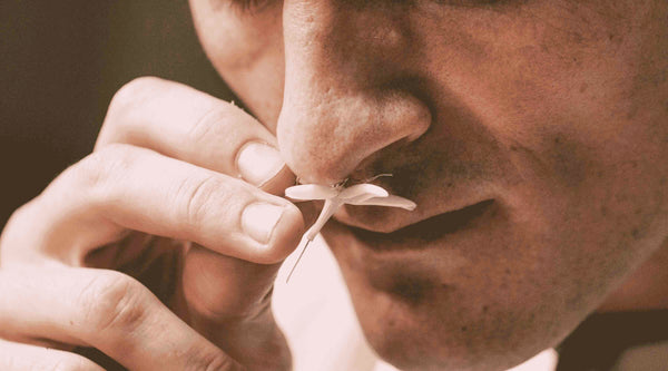 GLP-1s and Your Sense of Smell – How Weight-Loss Drugs May Be Changing Your Senses