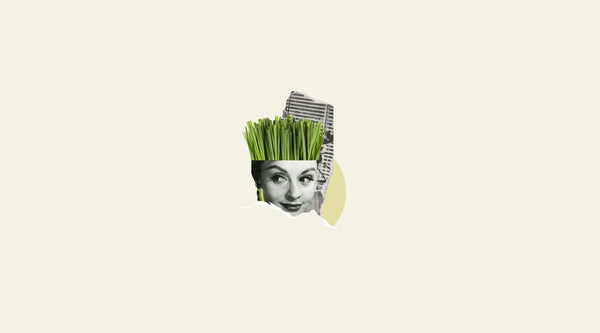 Lemongrass Essential Oil Reduces Anxiety in Just Minutes, Study Finds