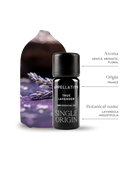 True Lavender | Organic Essential Oil, 10ml