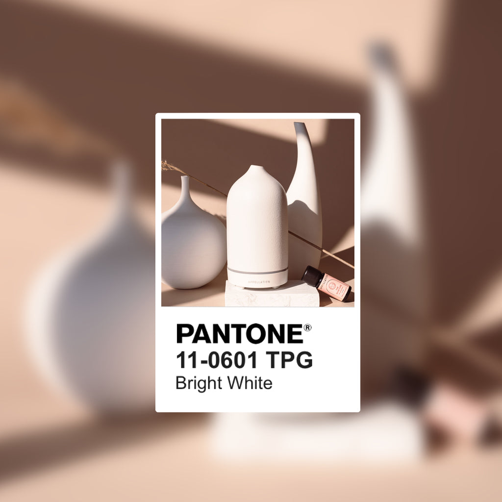 LUNA WHITE | Appellation Stone Essential Oil Diffuser