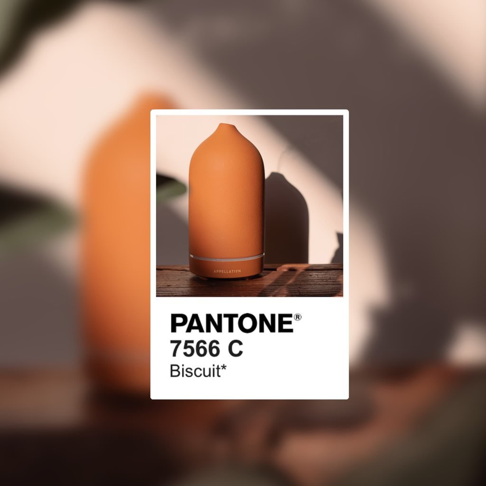 BISCUIT TERRACOTTA | Appellation Stone Essential Oil Diffuser