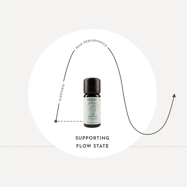 Shop Stone Essential Oil Diffusers at Appellation | For Diffusage | Dubai