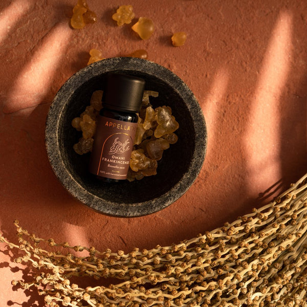Omani Frankincense | Wild-harvested Essential Oil, 10ml